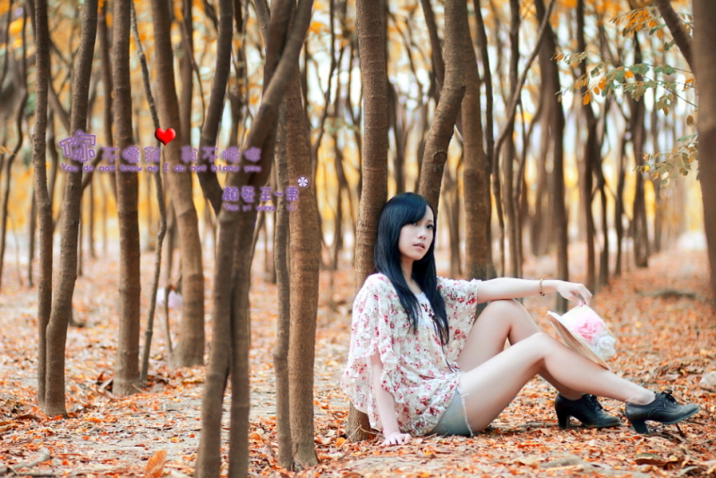 http://i.dcview.tw/gallery/201204/c803338d407a72049a0c9335946744bd.jpg