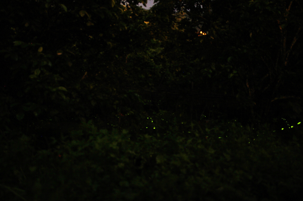http://i.dcview.tw/gallery/201204/ccc3b35982cdb5506435b01c3850d396.jpg