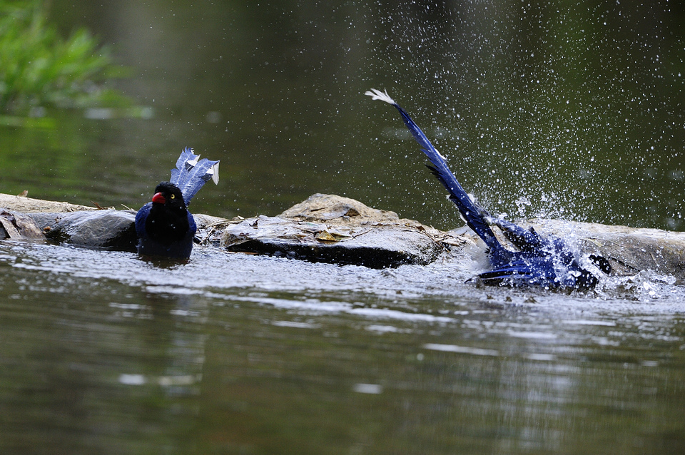 http://i.dcview.tw/gallery/201204/ccdef01c669367b0d5feec093e8d4117.jpg