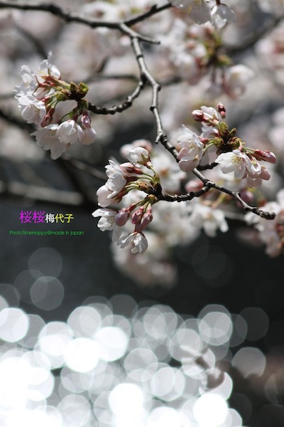 http://i.dcview.tw/gallery/201204/d0c34b4267012324227456422e51de1d.jpg