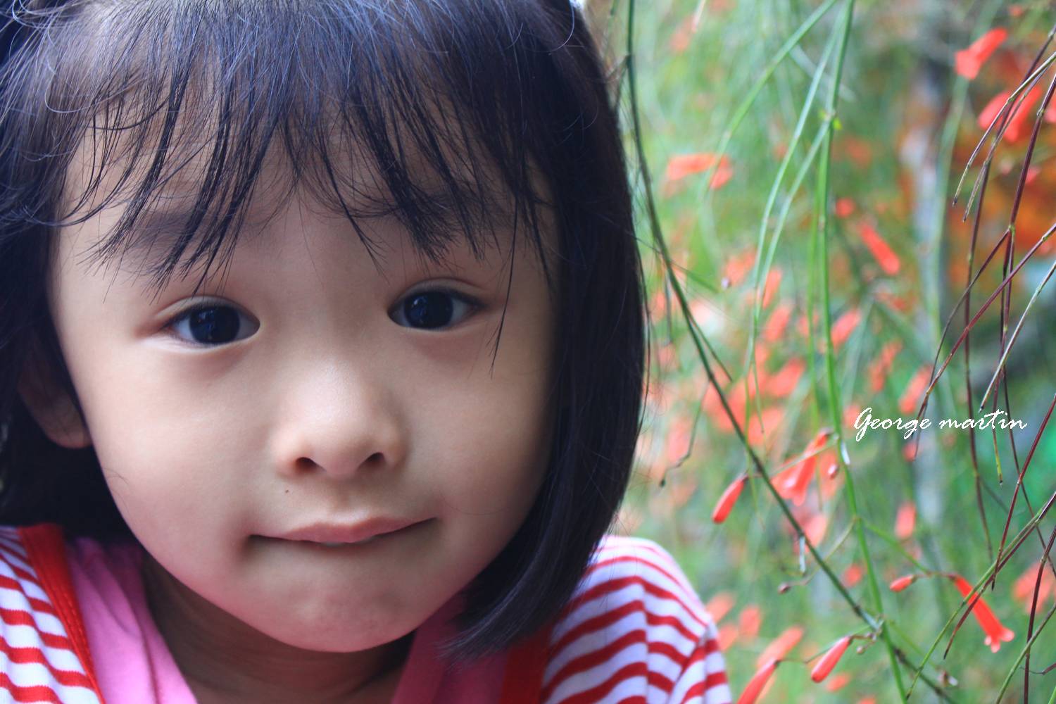 http://i.dcview.tw/gallery/201204/d1482d5f45de2cace8c8b2cfac85cb5d.jpg