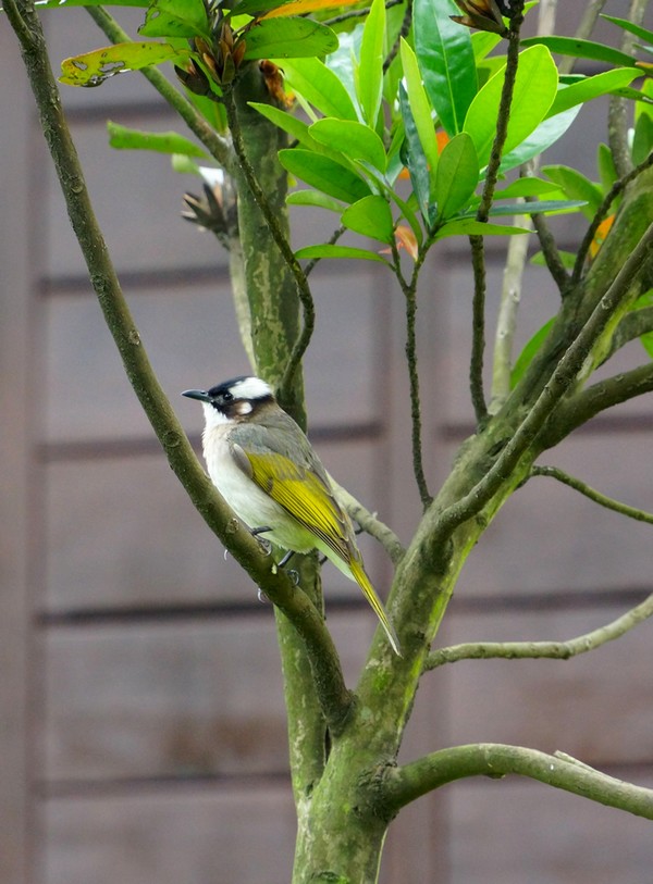 http://i.dcview.tw/gallery/201204/d1b35a7cbc6a134818f3e35417b5c0d5.jpg