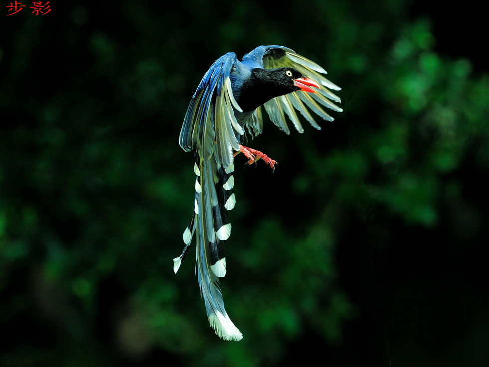 http://i.dcview.tw/gallery/201204/d1c058ecb93dbd75dbd9bbacd91f74ca.jpg