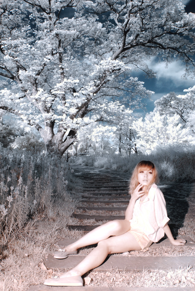 http://i.dcview.tw/gallery/201204/d354d0efe209feb6f2712403f4ad15de.jpg