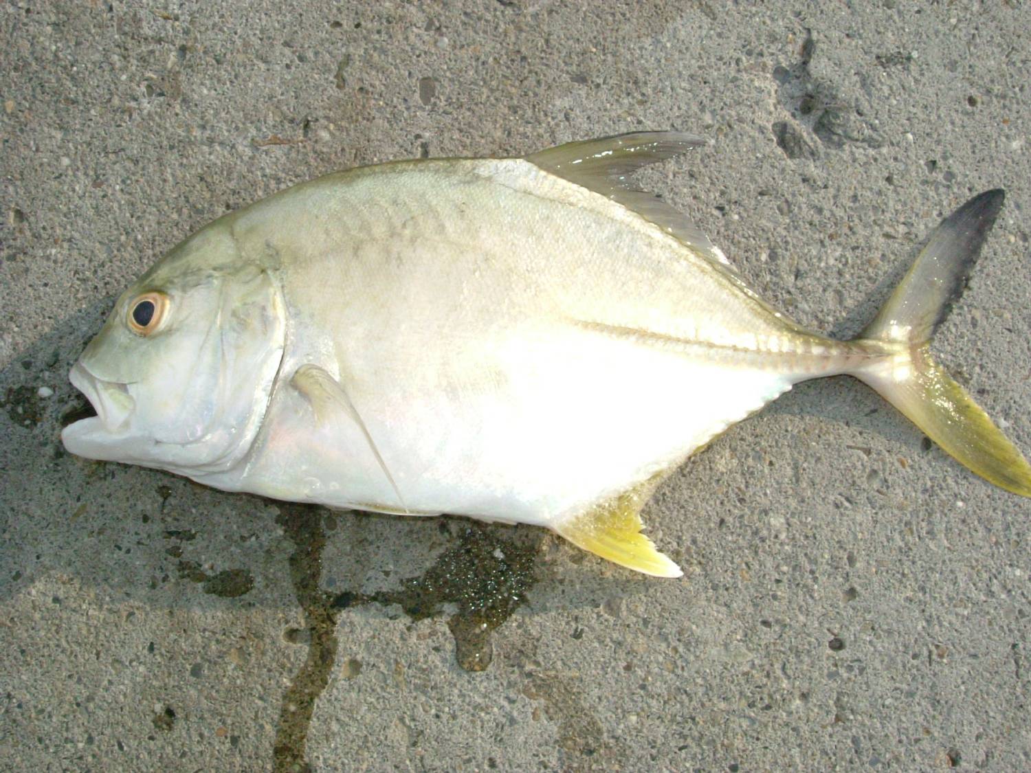 http://i.dcview.tw/gallery/201204/d4db64a59f31a971639f415afa3eb90b.jpg