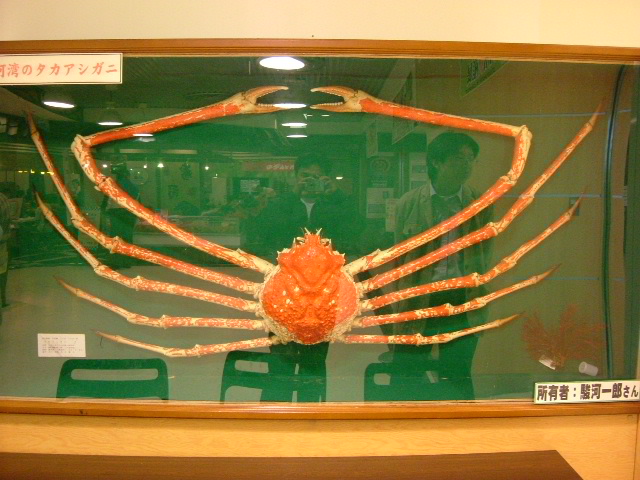 http://i.dcview.tw/gallery/201204/d5498f66ddbb56cc806318d06b9405a7.jpg