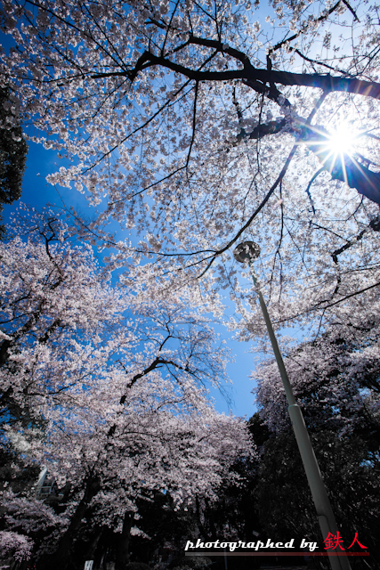 http://i.dcview.tw/gallery/201204/d648b682210e8b4d38bdf04f702cdcd4.jpg