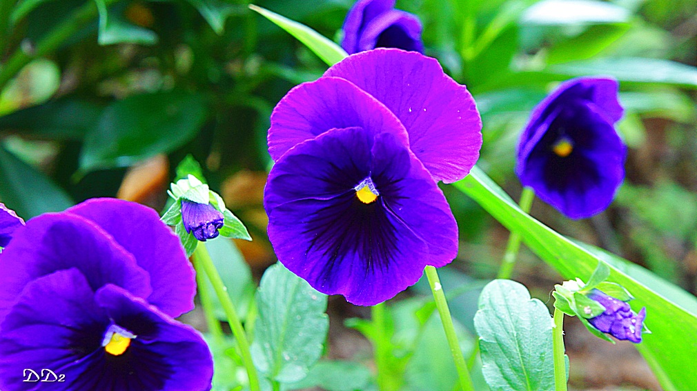 http://i.dcview.tw/gallery/201204/d8316057f94397e8a12ba795a4028c52.jpg