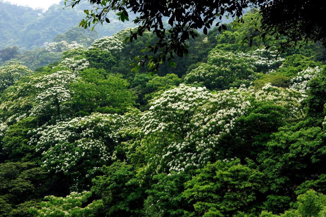 http://i.dcview.tw/gallery/201204/d845ac501c917b007c3fe4d9c4a34330.jpg