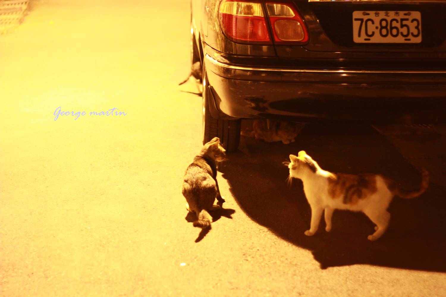 http://i.dcview.tw/gallery/201204/dfce499d07656a9e6936534f4496ceae.jpg
