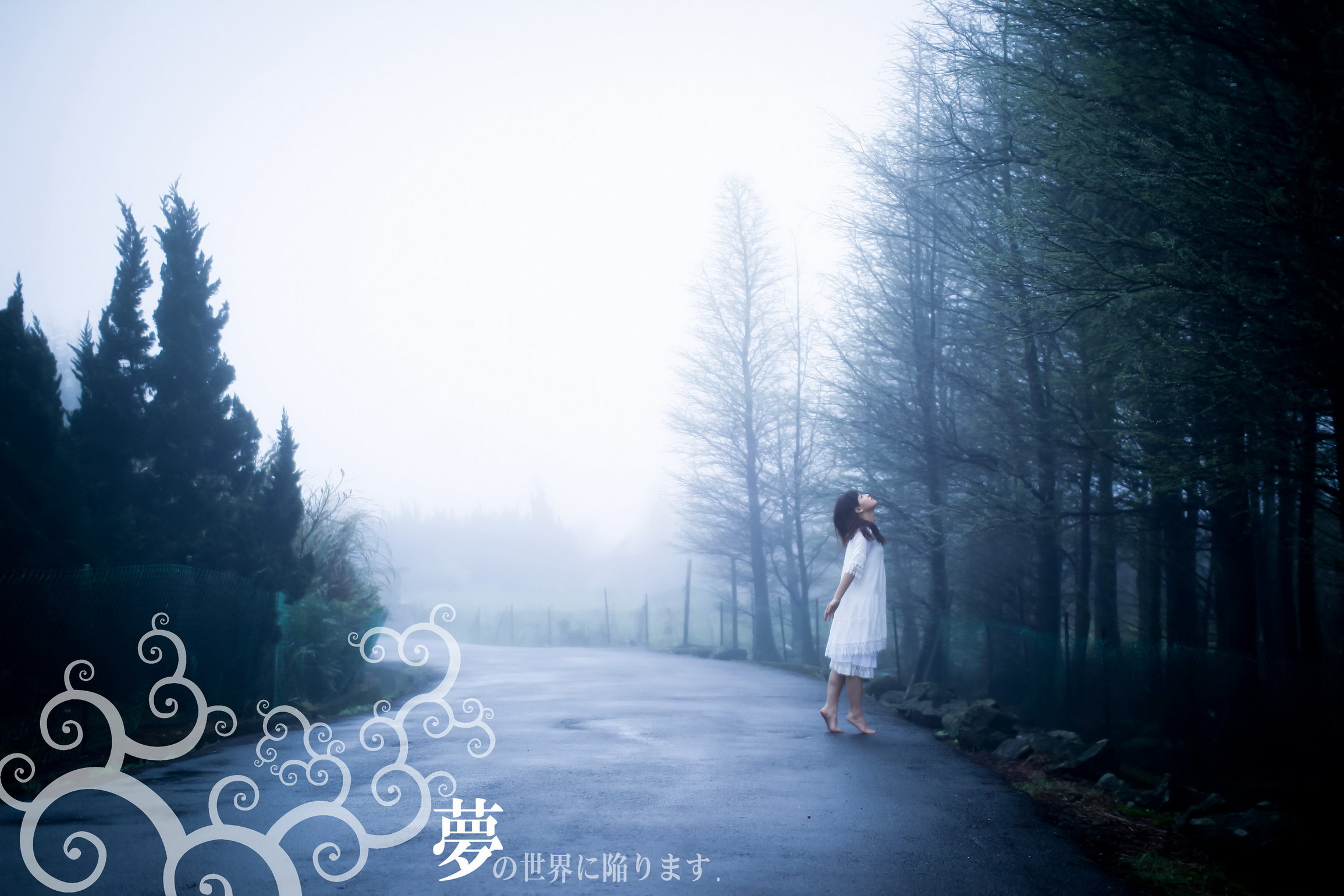 http://i.dcview.tw/gallery/201204/e0926f6ae1164309777a8ae093afa818.jpg