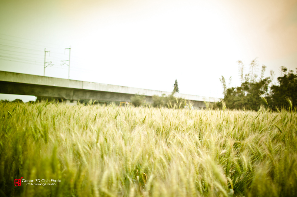http://i.dcview.tw/gallery/201204/e22fd1a657e7b6dbc9b03d1b79cb67dd.jpg