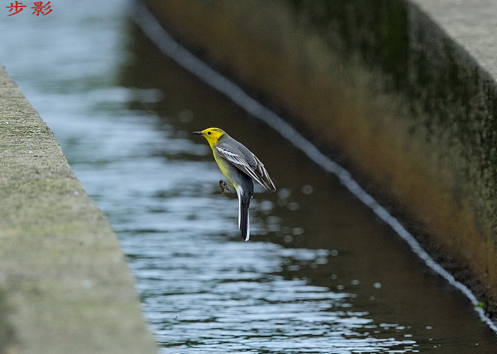 http://i.dcview.tw/gallery/201204/e5df7d90d081cafb477b7ecf7d043842.jpg