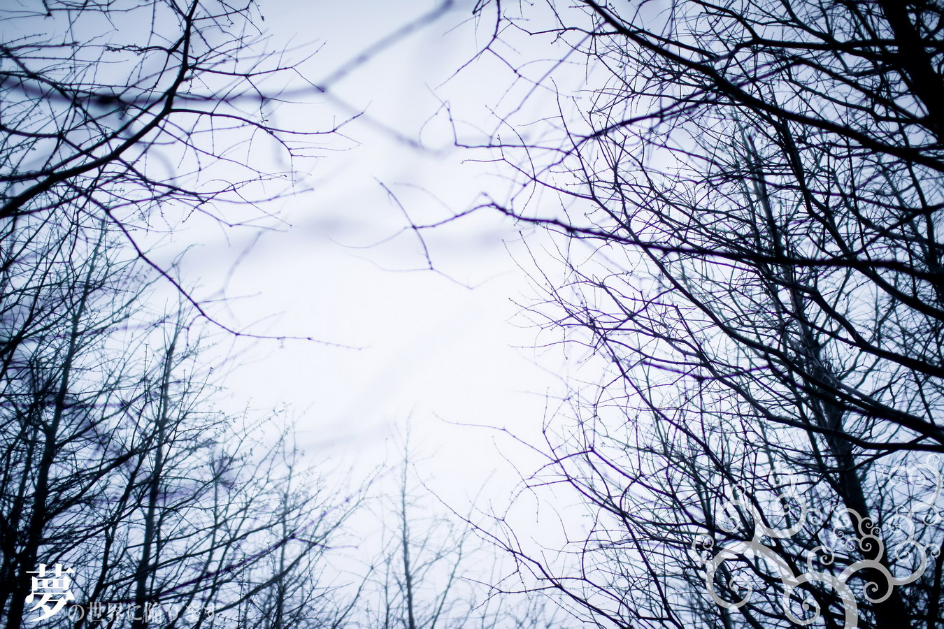 http://i.dcview.tw/gallery/201204/e6f8e1e110d39db662cfa2035004a82c.jpg
