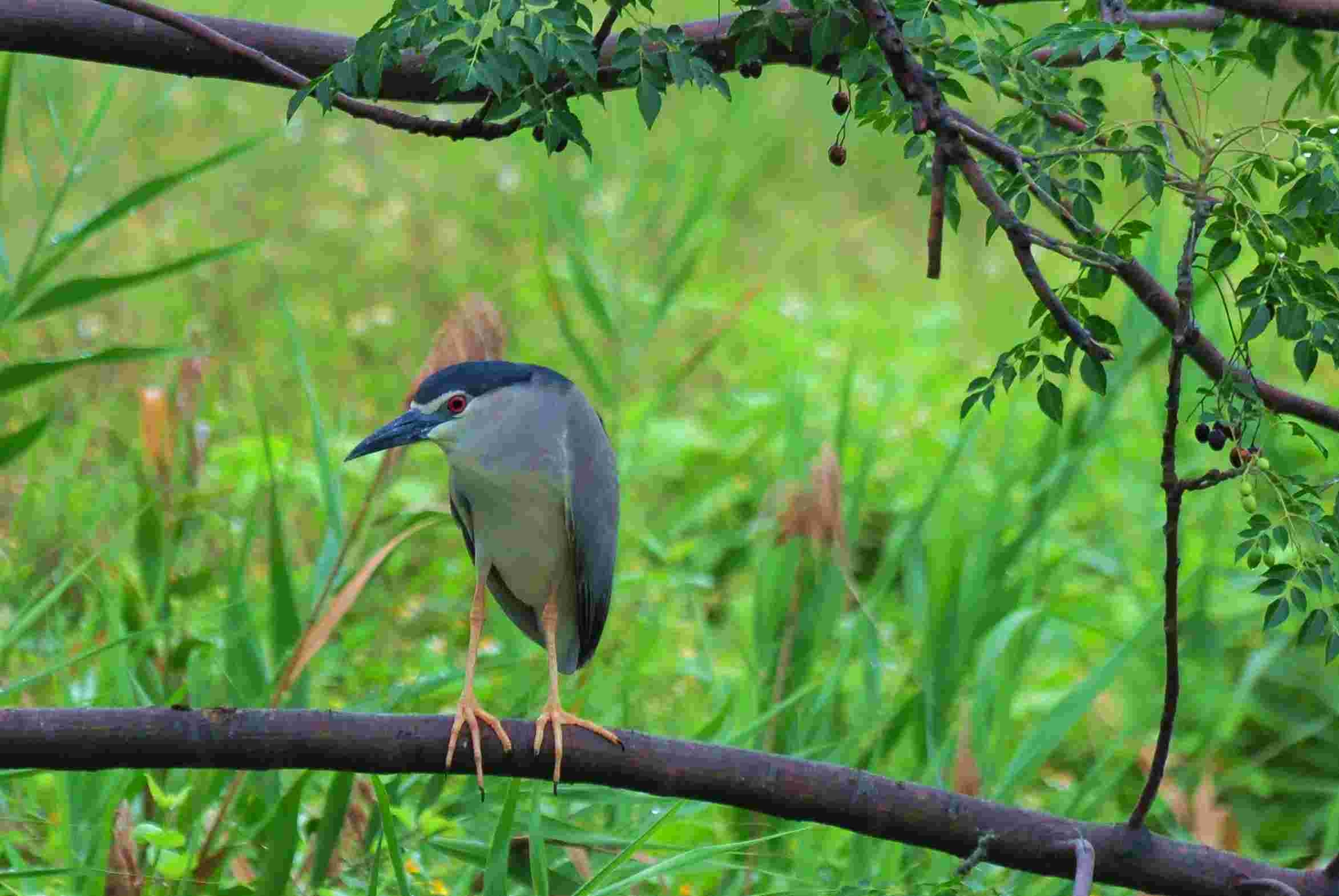 http://i.dcview.tw/gallery/201204/e7f8685e5152bc8a25553c540f0b68ce.jpg