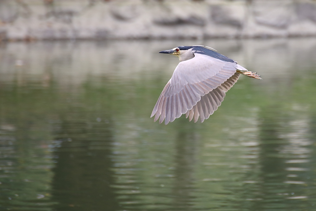 http://i.dcview.tw/gallery/201204/e91ed18e0244faed6dc8b377134dd1a0.jpg