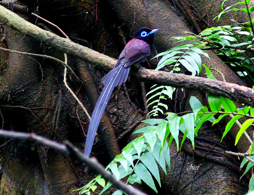 http://i.dcview.tw/gallery/201204/ea3ea237bb90e9876c62252f51c65235.jpg