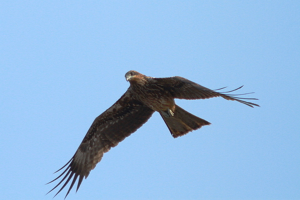 http://i.dcview.tw/gallery/201204/ec0d31e155267658a50962ad39295b55.jpg