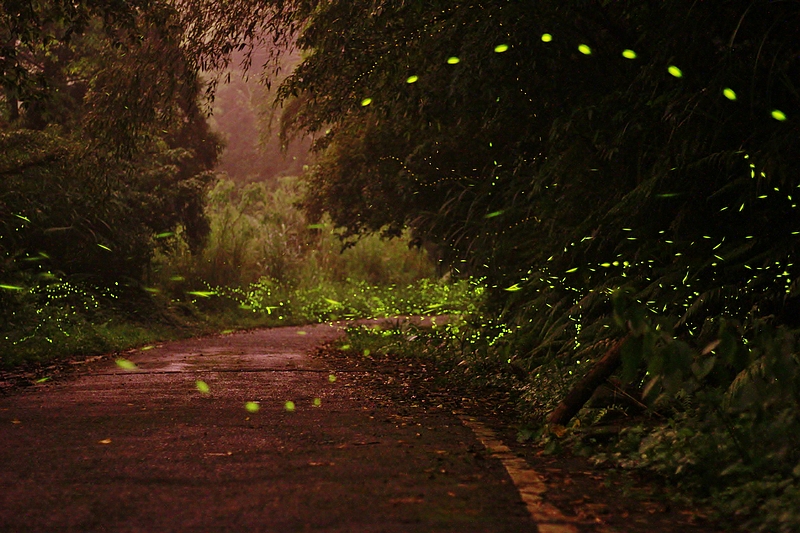 http://i.dcview.tw/gallery/201204/ee75750121cd84ed3e7639d04b25042f.jpg
