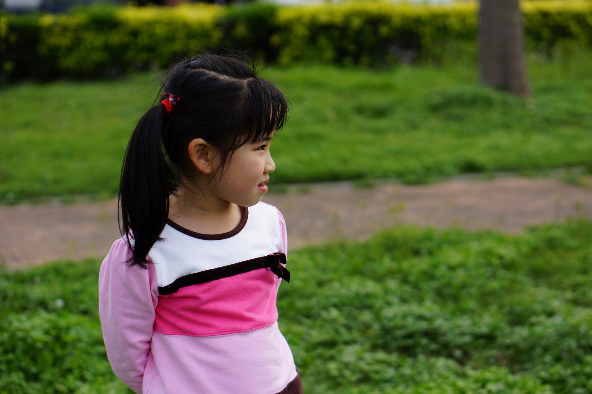 http://i.dcview.tw/gallery/201204/ef24bfada4e34ae8e185690b4d02b90f.jpg