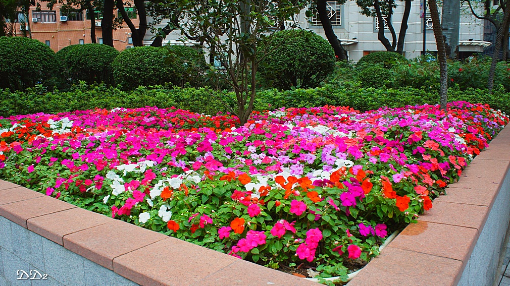 http://i.dcview.tw/gallery/201204/ef52327f045a09e67364de42a2c70e9a.jpg