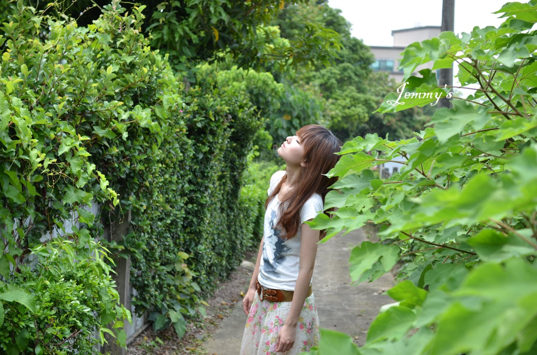 http://i.dcview.tw/gallery/201204/ef7e1688c960697c297b1e12fe2310ac.jpg
