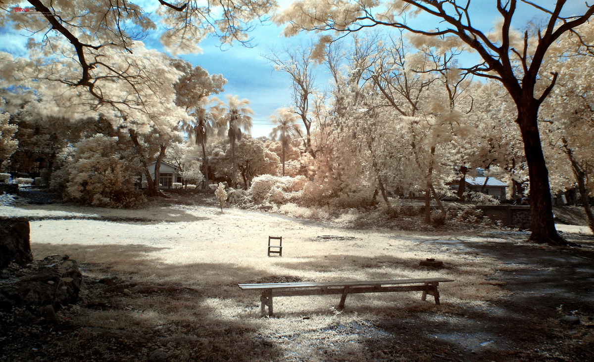 http://i.dcview.tw/gallery/201204/efe2ec09d291f782f813867eb6d5a8f7.jpg