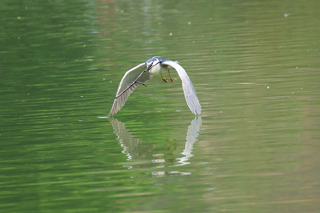 http://i.dcview.tw/gallery/201204/f08f56c88e39113c67895f820caae30b.jpg