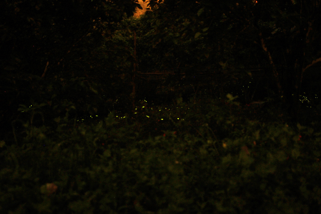 http://i.dcview.tw/gallery/201204/f0a165672f2a3673f128e15fa01a00fe.jpg