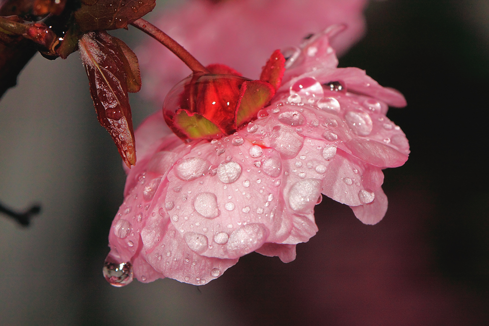 http://i.dcview.tw/gallery/201204/f183ddca9332af7e2bbbdcd076c1febf.jpg