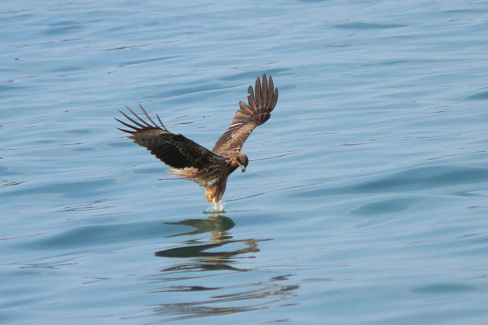 http://i.dcview.tw/gallery/201204/f1ab922202e2d2194e3c3cb5a0dd326b.jpg