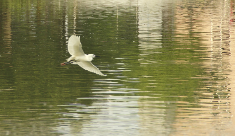 http://i.dcview.tw/gallery/201204/f784eb13b7bc59b48773f937f9cef812.jpg