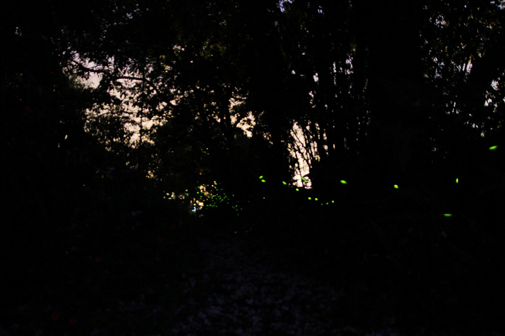 http://i.dcview.tw/gallery/201204/f84186c08b5b4c7bf80b0410bc5c4c68.jpg