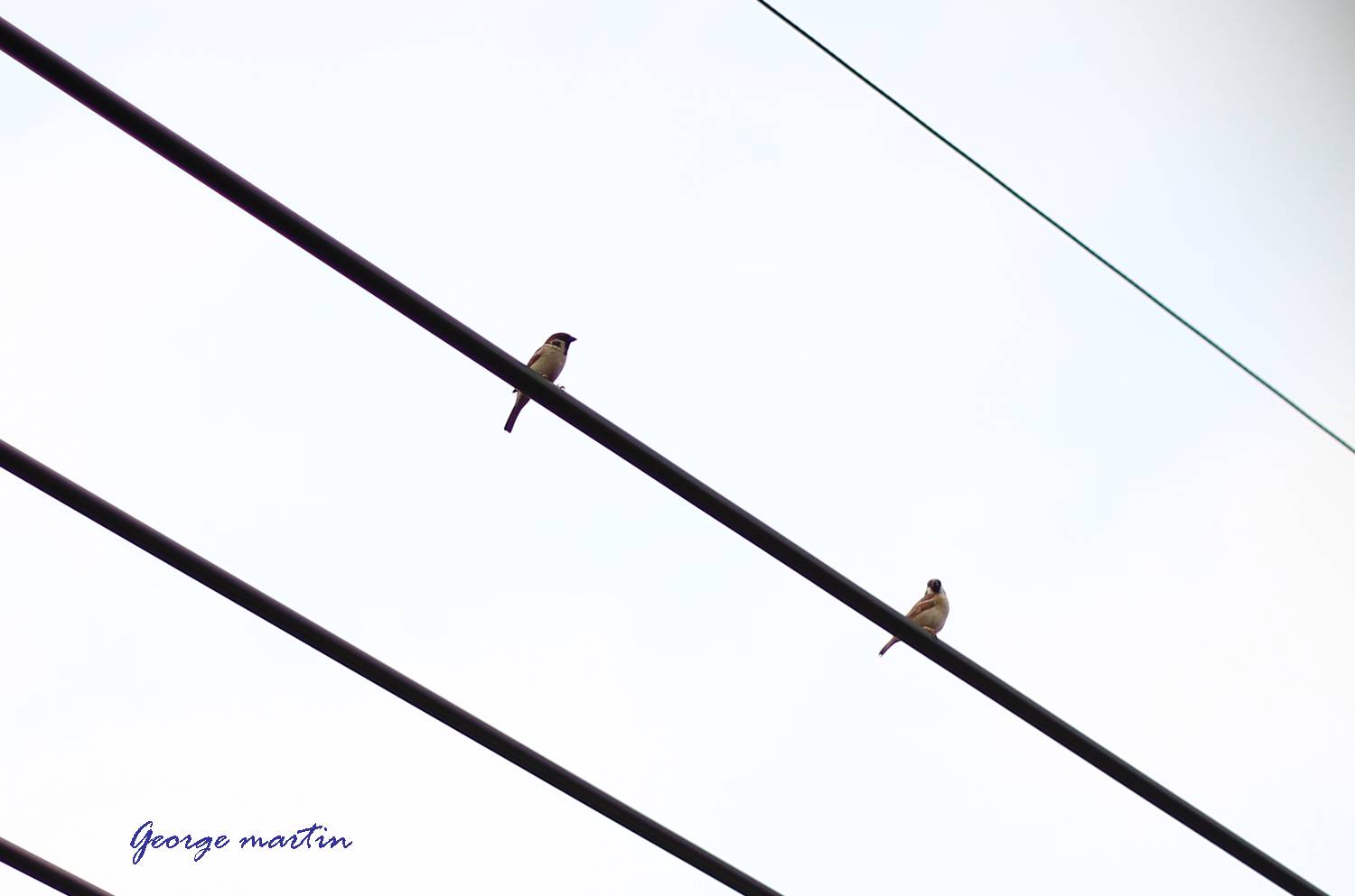 http://i.dcview.tw/gallery/201204/f878fa51918eb220c09b50acbf451a5c.jpg