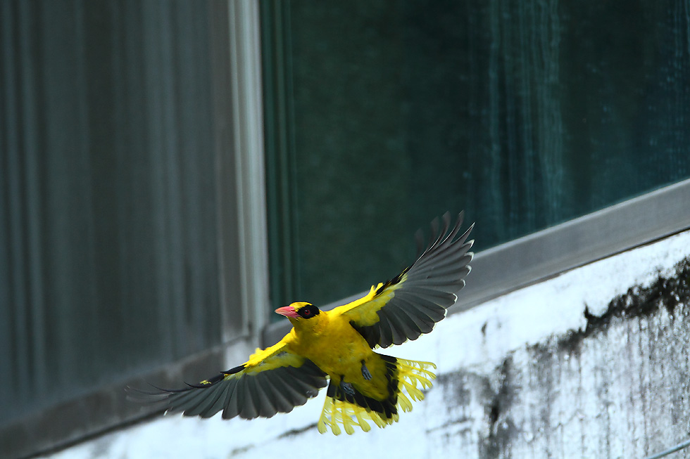 http://i.dcview.tw/gallery/201204/ff28f8cd8ed872a70413558fff47b94c.jpg