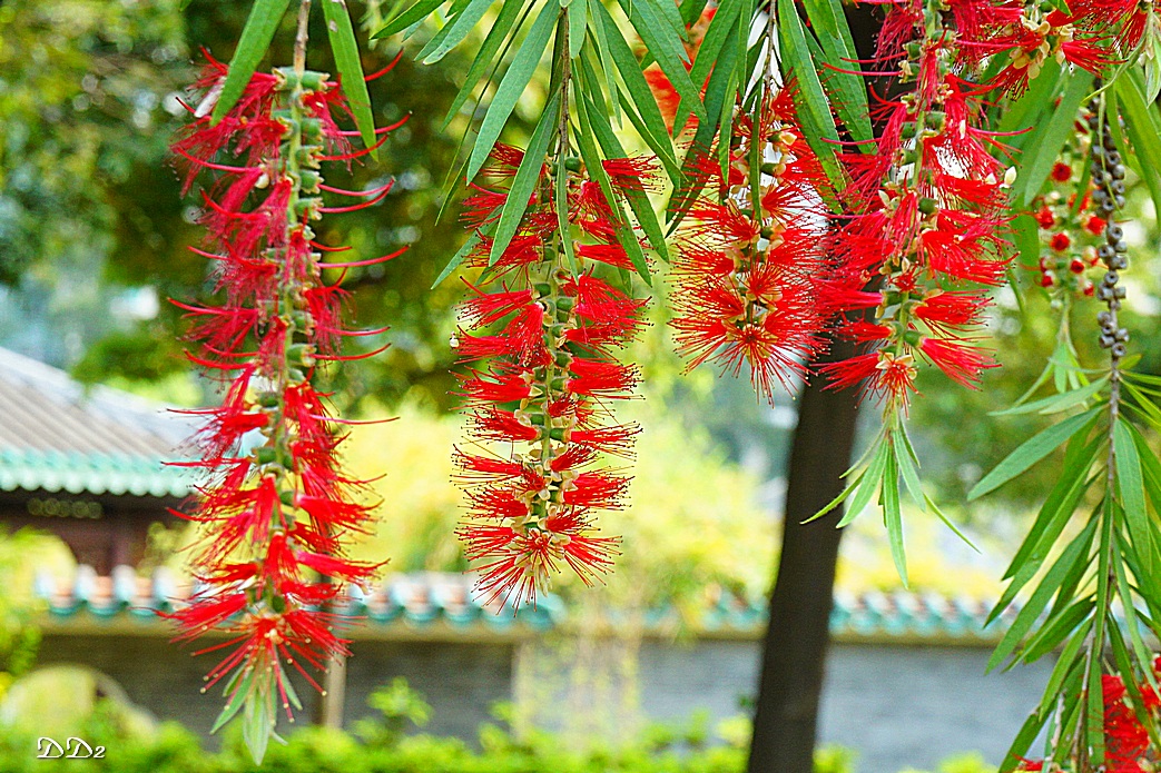 http://i.dcview.tw/gallery/201205/00dbe457b34d0c48fe2dfc17aa2602d6.jpg