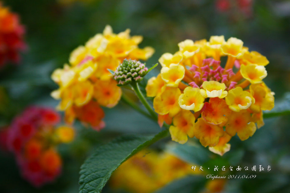 http://i.dcview.tw/gallery/201205/058b5128e8c8a7c136268ac6f7f88a4d.jpg