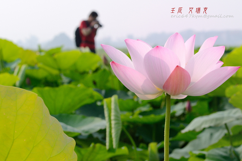 http://i.dcview.tw/gallery/201205/09365c260f85364a7a5c165f963424b0.jpg