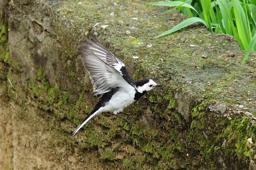 http://i.dcview.tw/gallery/201205/0a4f14219aa0c507ecf4afe57c37b0e8.jpg