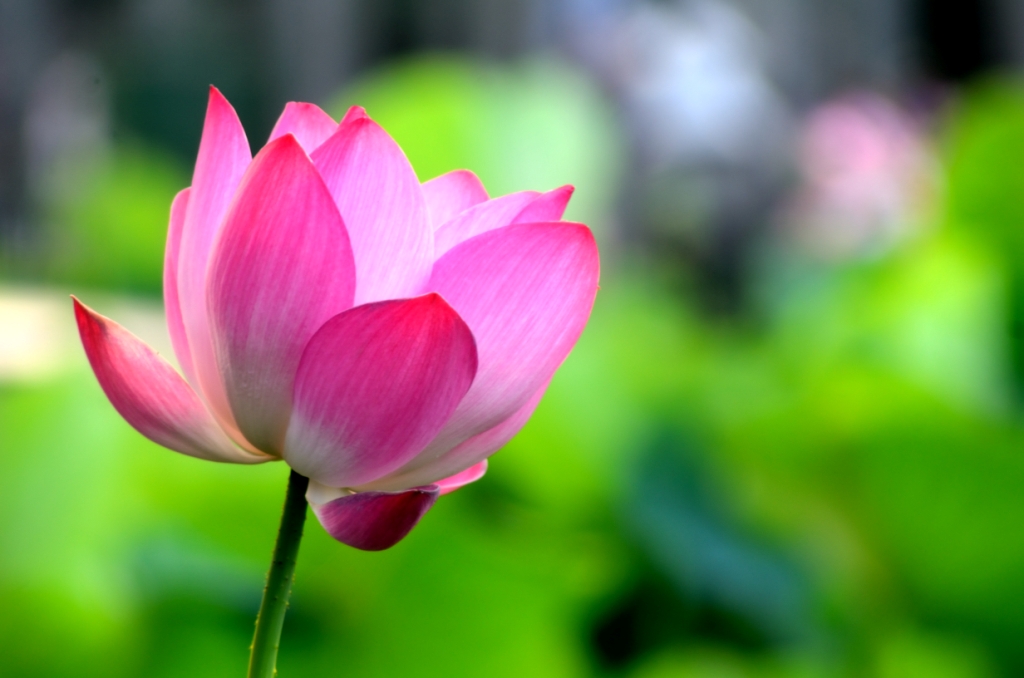 http://i.dcview.tw/gallery/201205/0bff6f7b3519a4228a94d1477c9d5e43.jpg