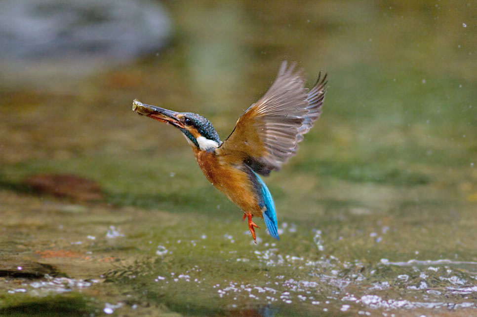 http://i.dcview.tw/gallery/201205/0f3c2eff4f1fe238a51550719a6ba535.jpg