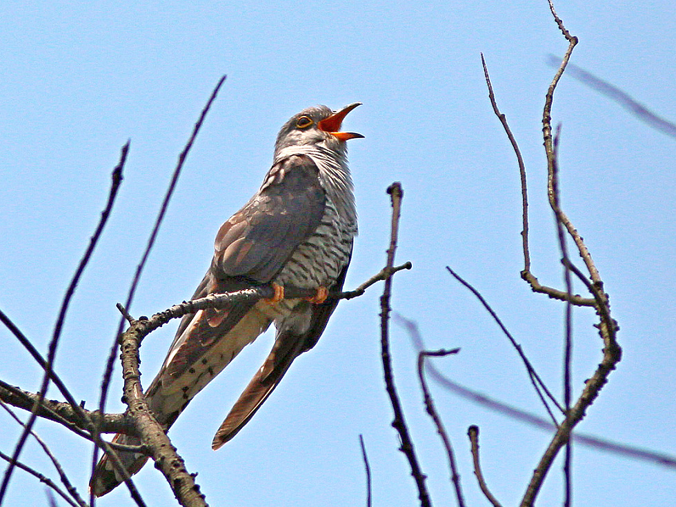 http://i.dcview.tw/gallery/201205/1ba53e4c8cf970985f7086ffd46fa16e.jpg