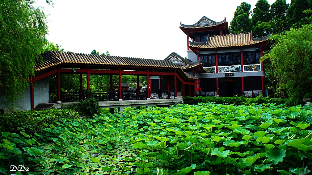 http://i.dcview.tw/gallery/201205/1d3a1c874d16bb0b2afe084bdf1d7caa.jpg
