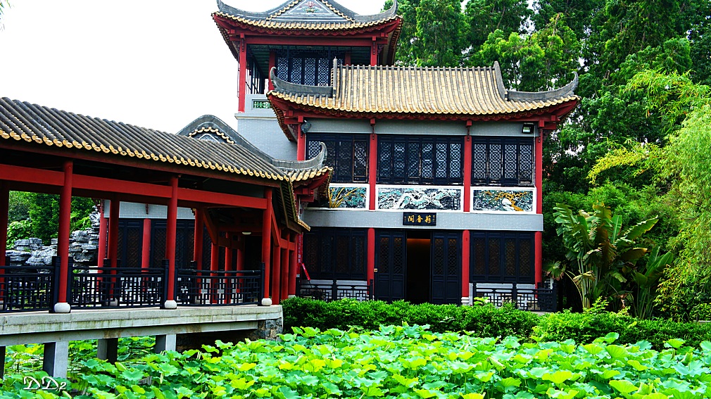 http://i.dcview.tw/gallery/201205/1d64fb4b3df4a186d793aac11f5a55be.jpg
