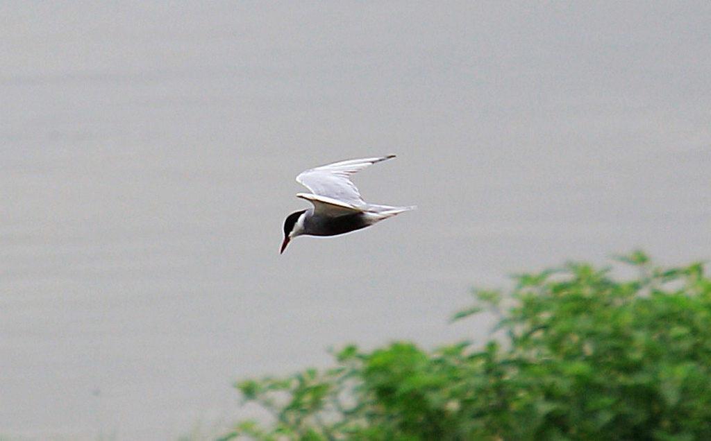 http://i.dcview.tw/gallery/201205/1e27edf4b817e772cb301249620b1f83.jpg