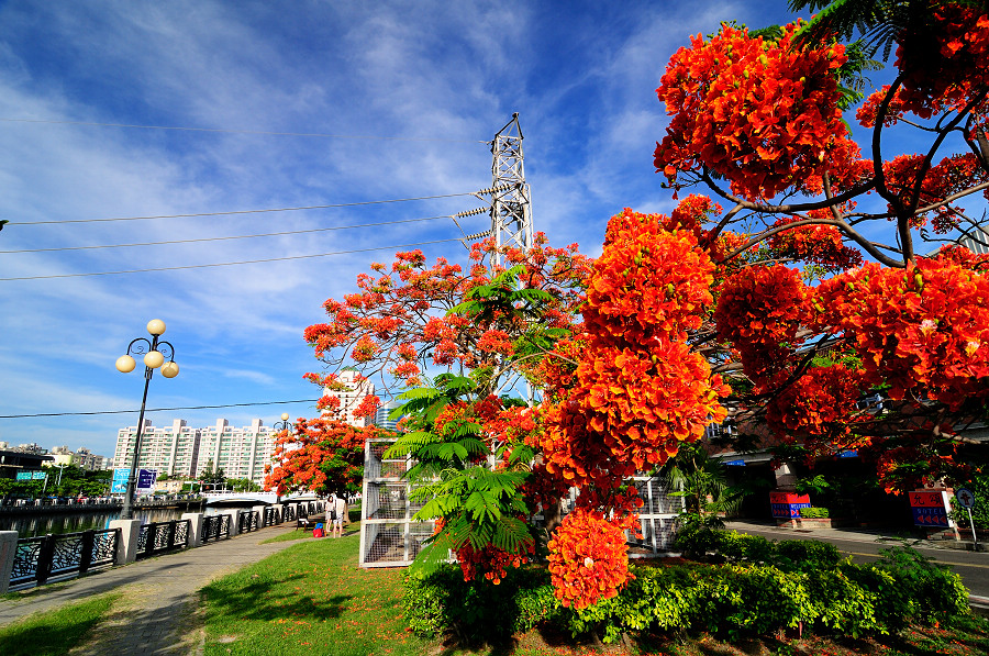 http://i.dcview.tw/gallery/201205/1f13b8f47bc62749a5a173d9ddb56b88.jpg