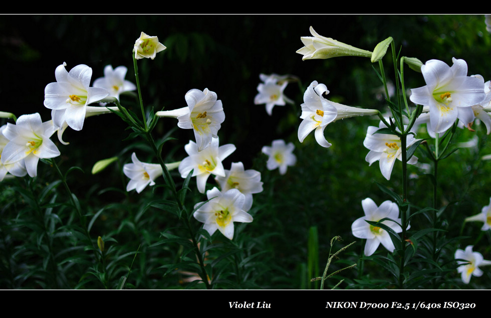 http://i.dcview.tw/gallery/201205/20bb4a1f920354c8253ac7e88006a6c0.jpg