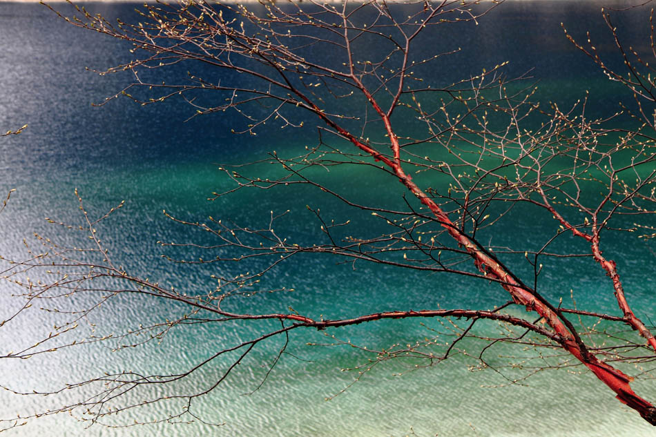 http://i.dcview.tw/gallery/201205/20c7857d1924b92c00f55c22039b17cb.jpg