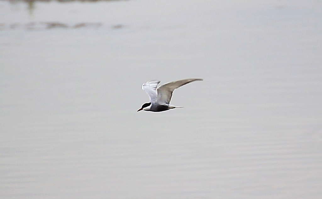 http://i.dcview.tw/gallery/201205/226825814ab479f7c0d5d23860d810bb.jpg