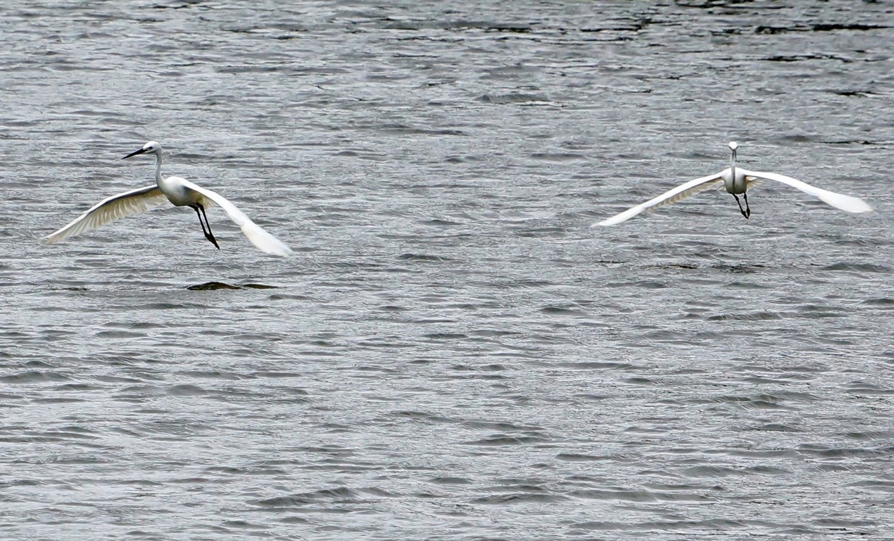 http://i.dcview.tw/gallery/201205/22b8c9190d1c530b9c29326f0b8702fb.jpg